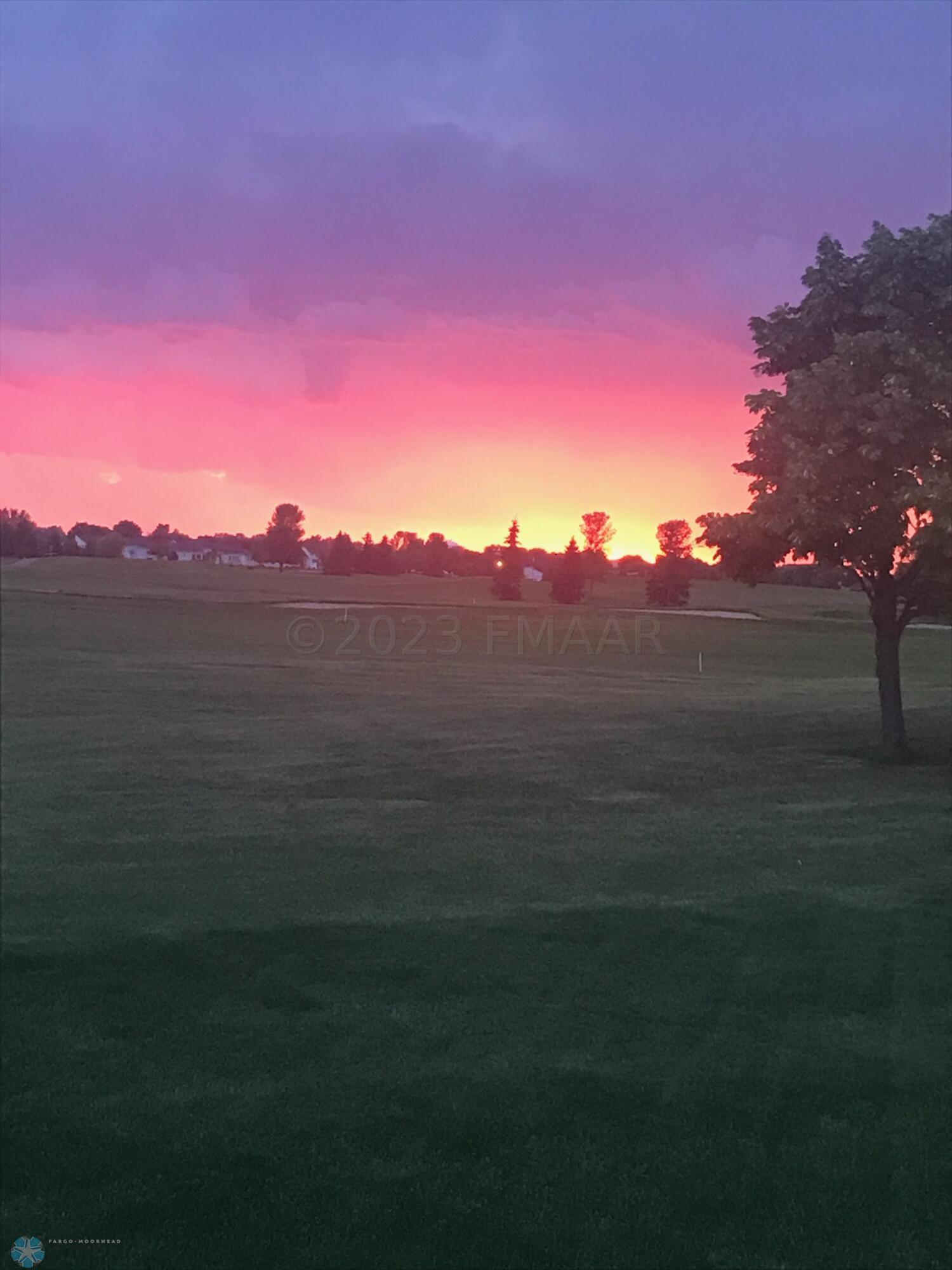 Backyard view