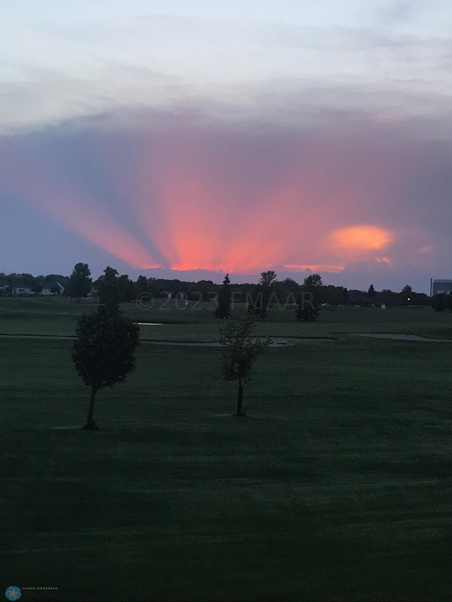 Backyard view
