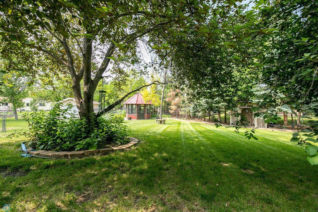 Back yard