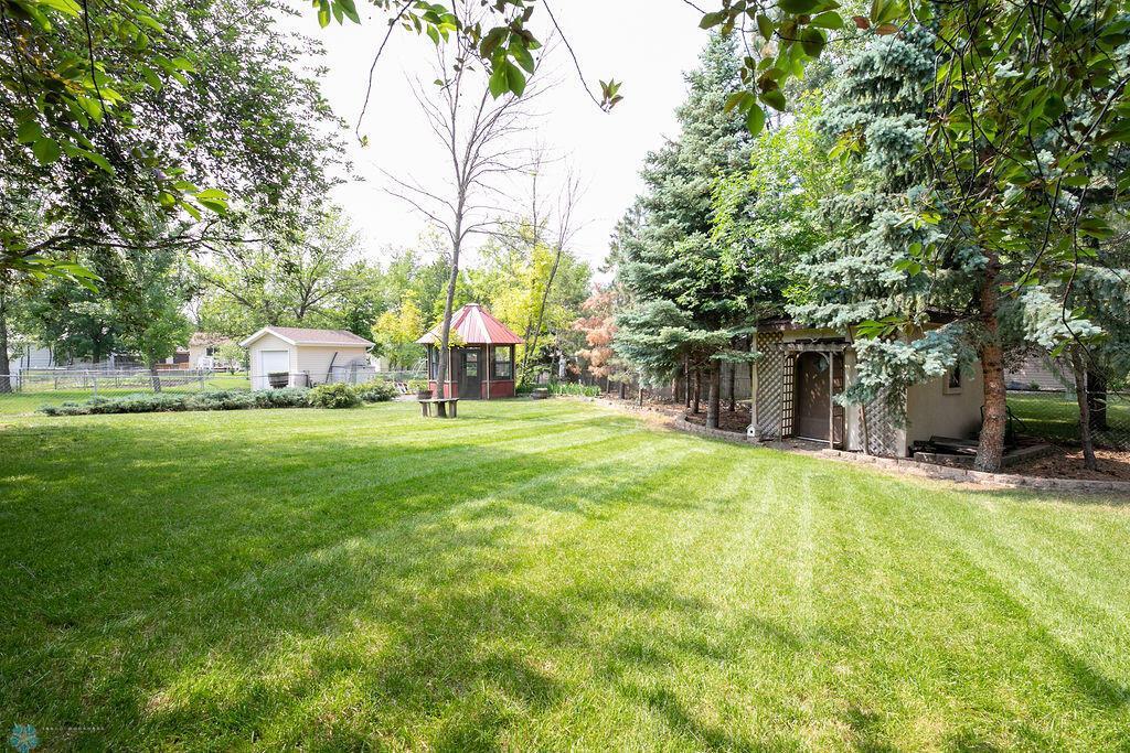 Back yard