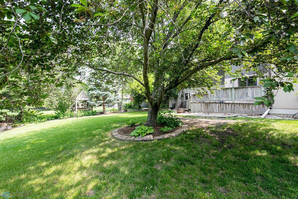 Back yard
