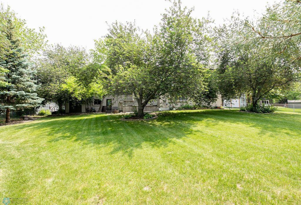Back yard