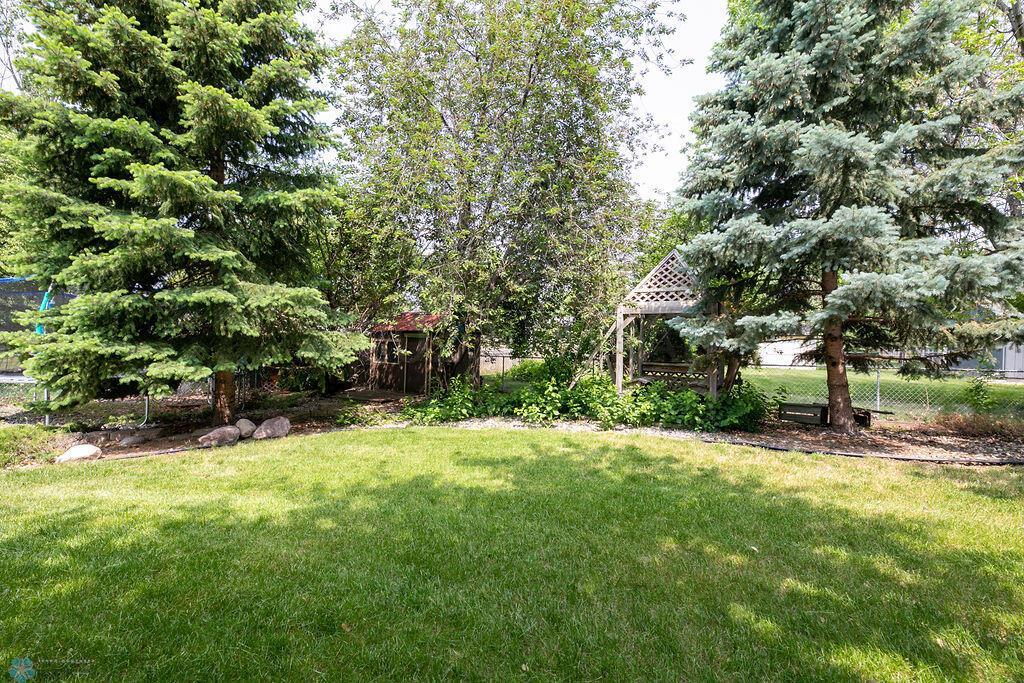 Back yard