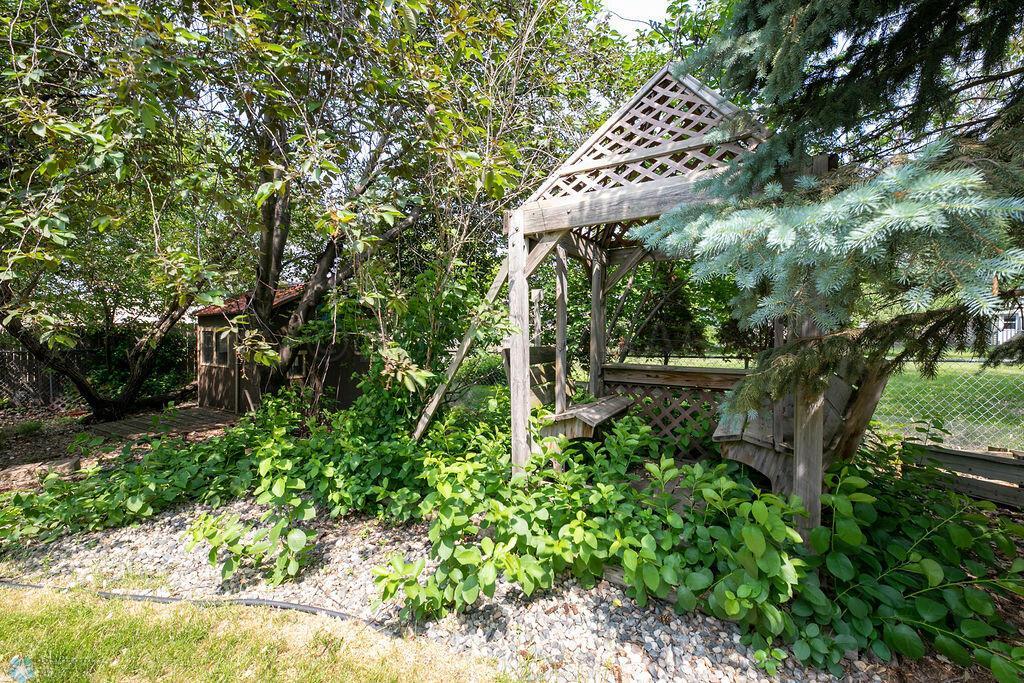 Back yard
