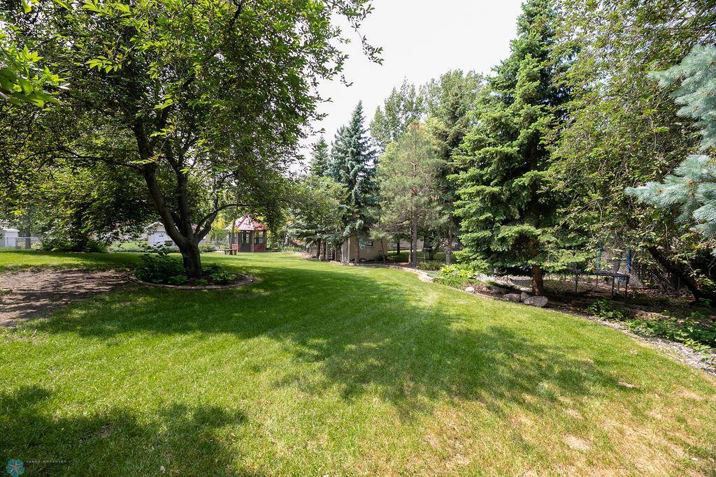 Back yard