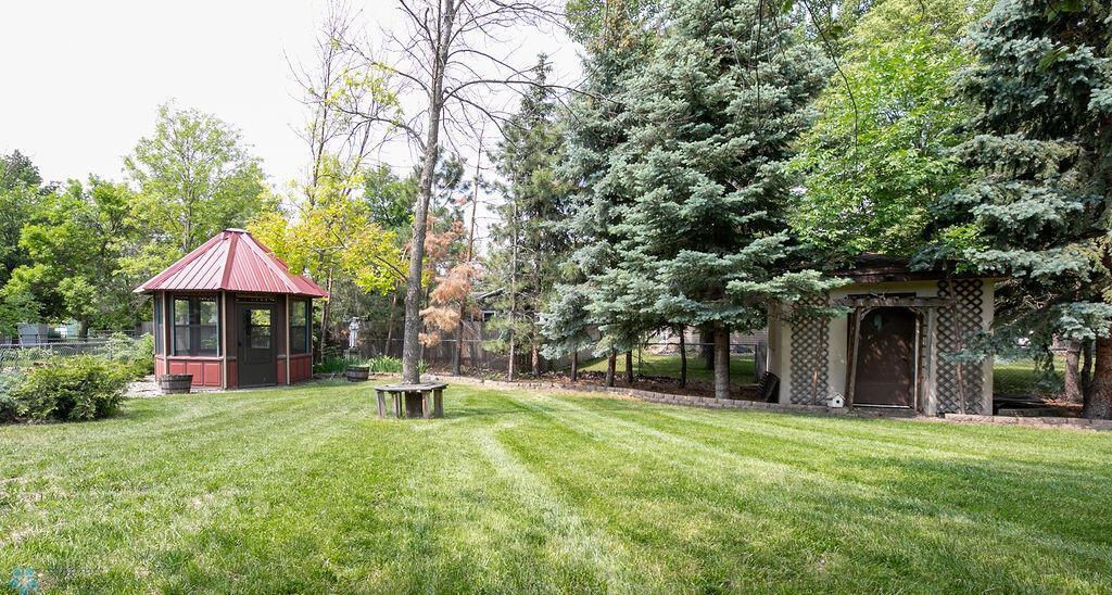Back yard