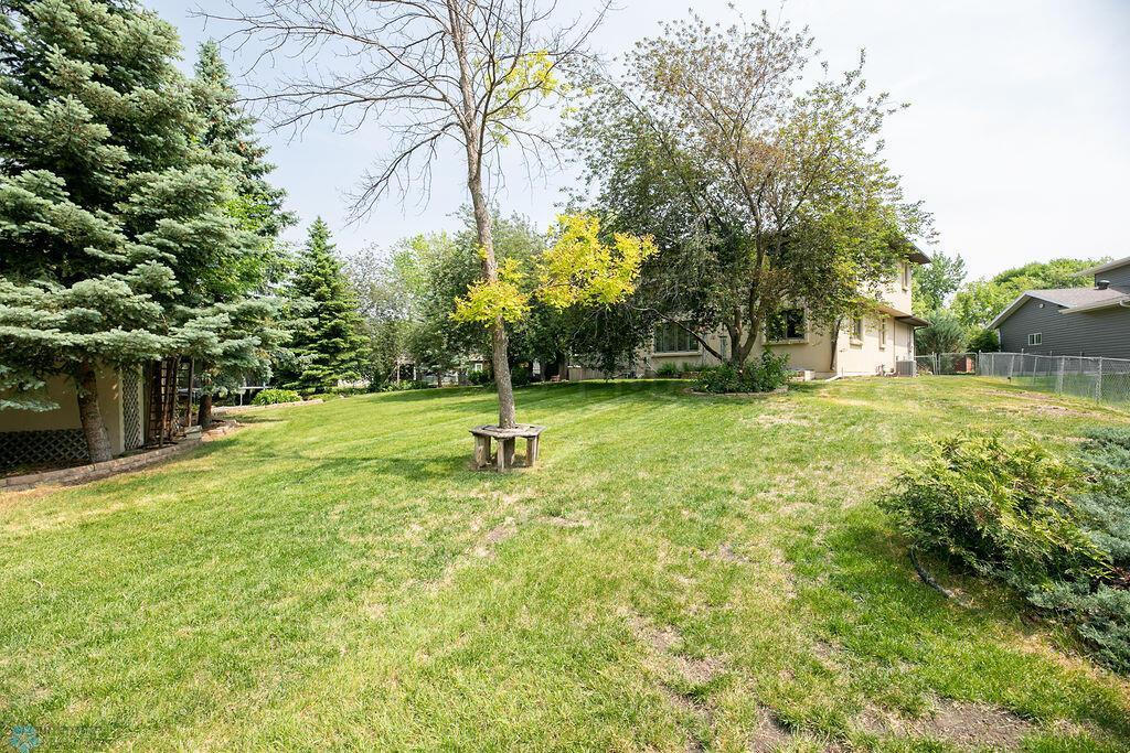 Back yard