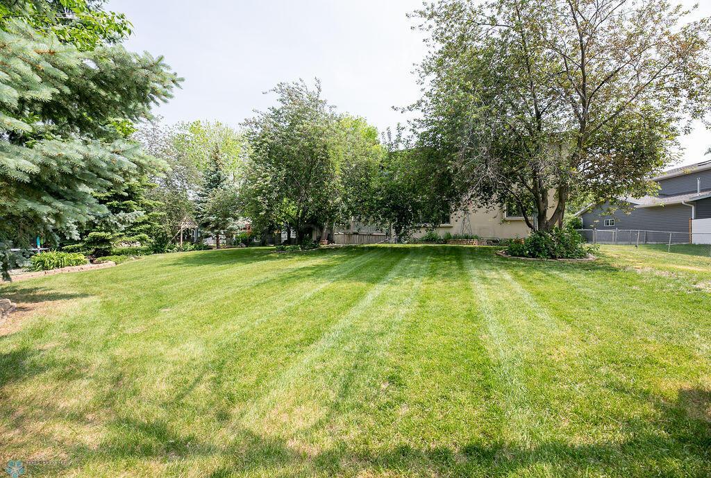 Back yard