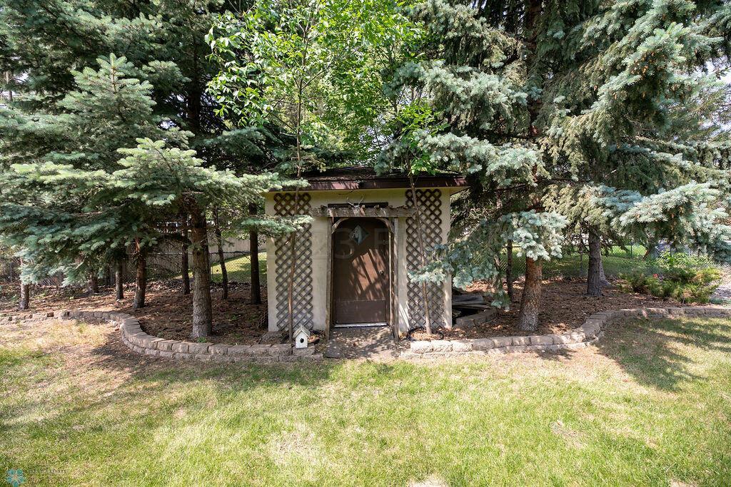 Back yard