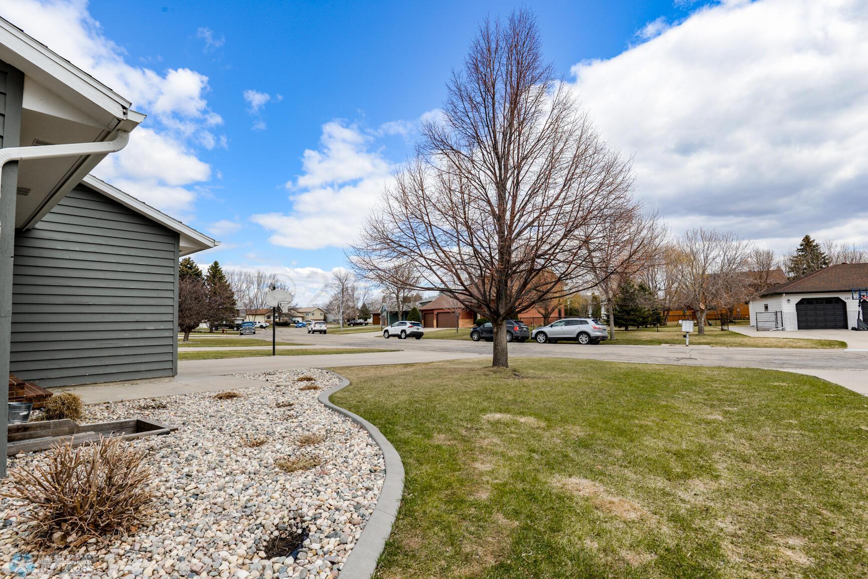 Front Yard