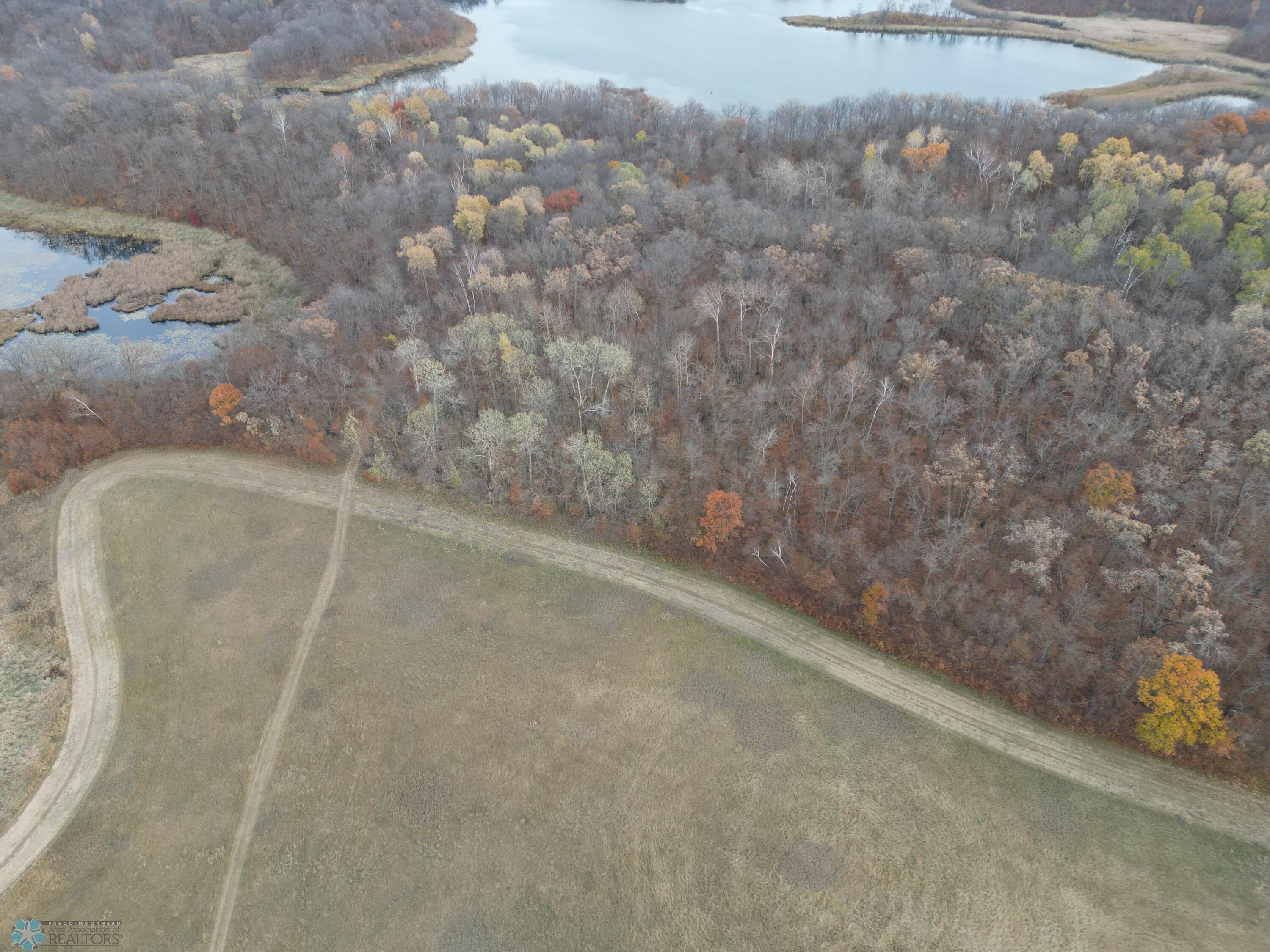 Trails, Forests And Ponds