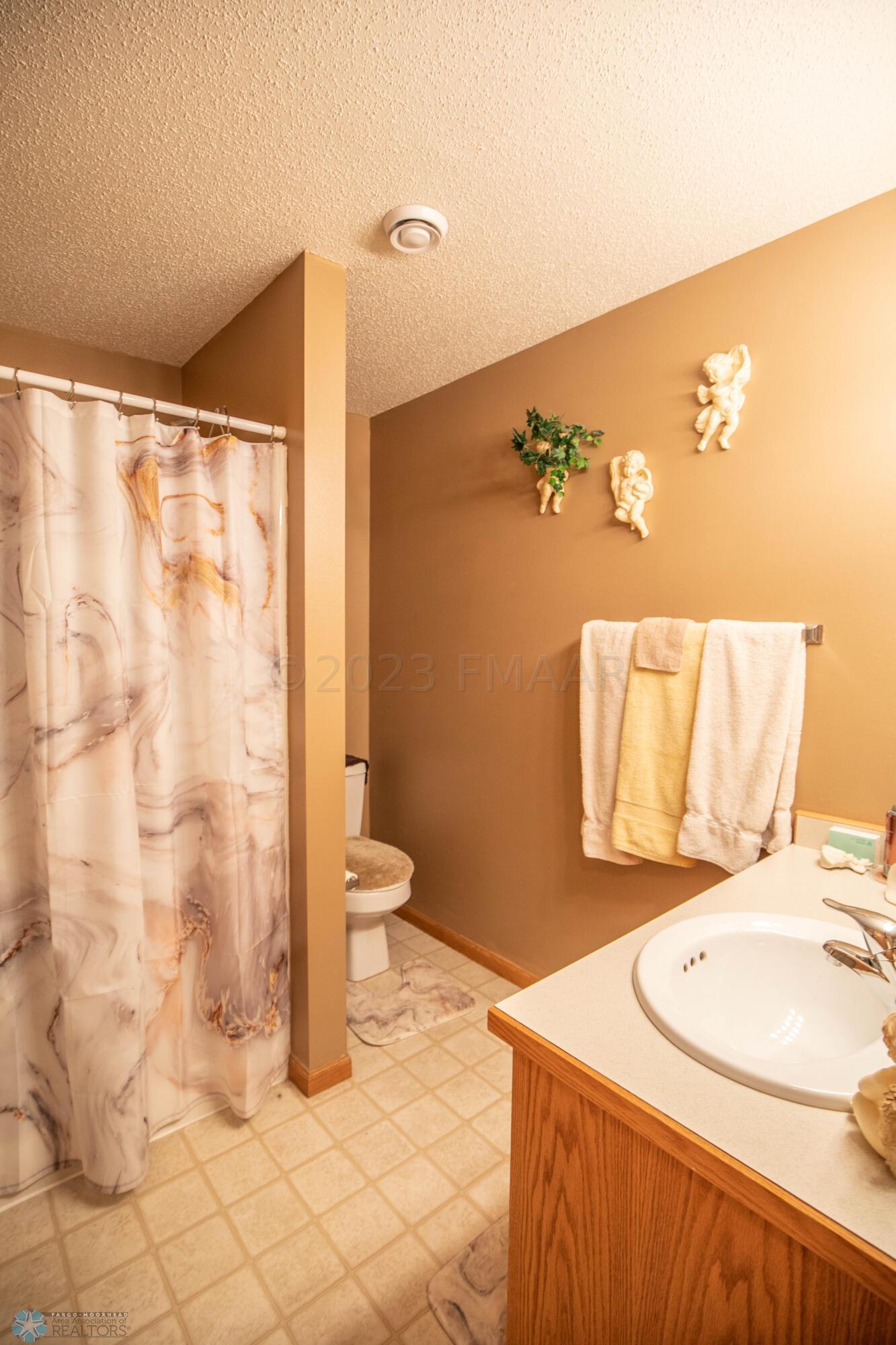 Lower Level Bathroom