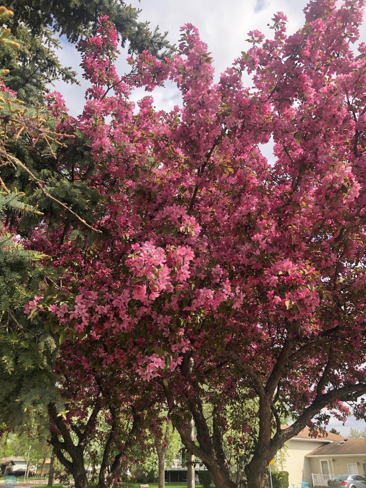 Photo From Last Spring
