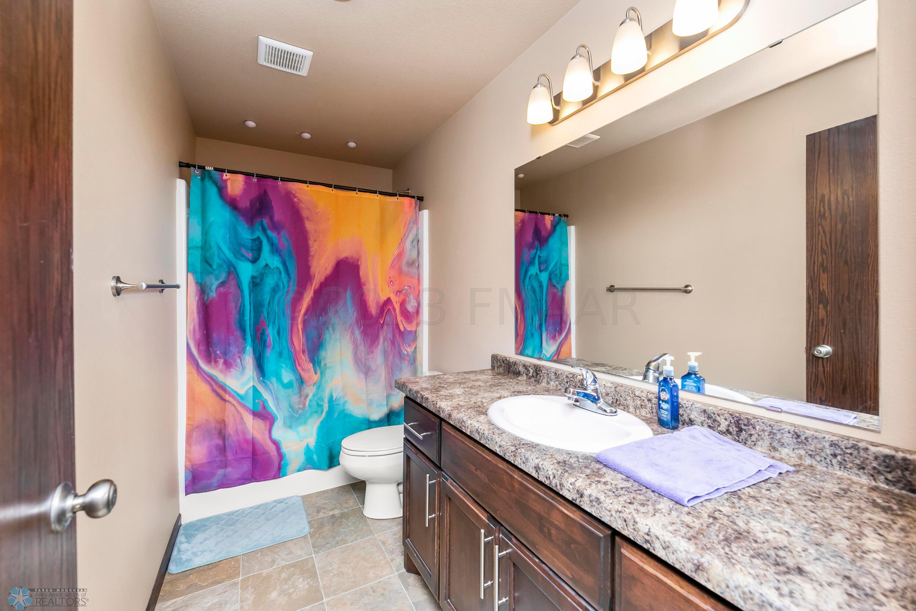 Lower level bathroom 1