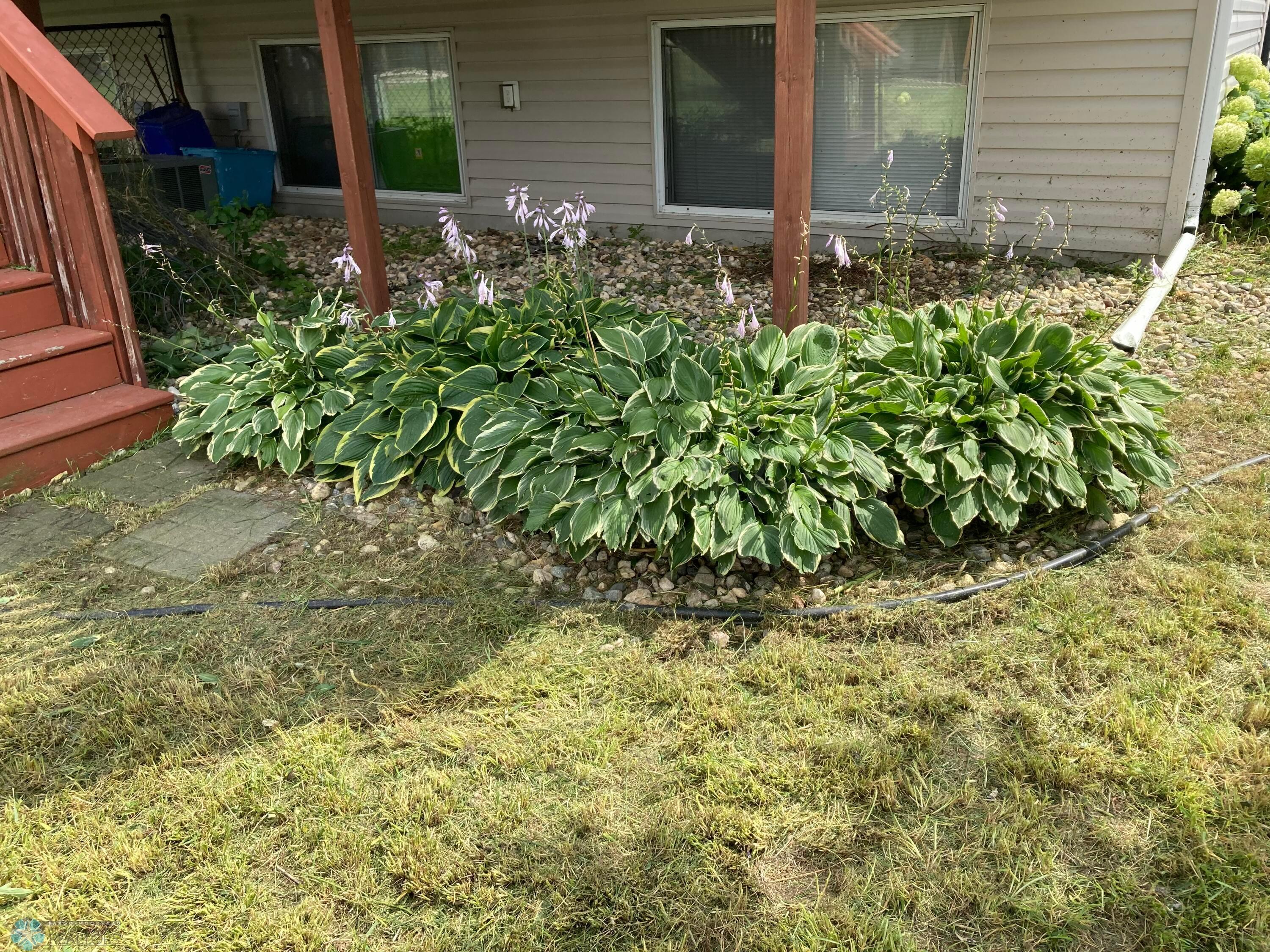IMG-1251