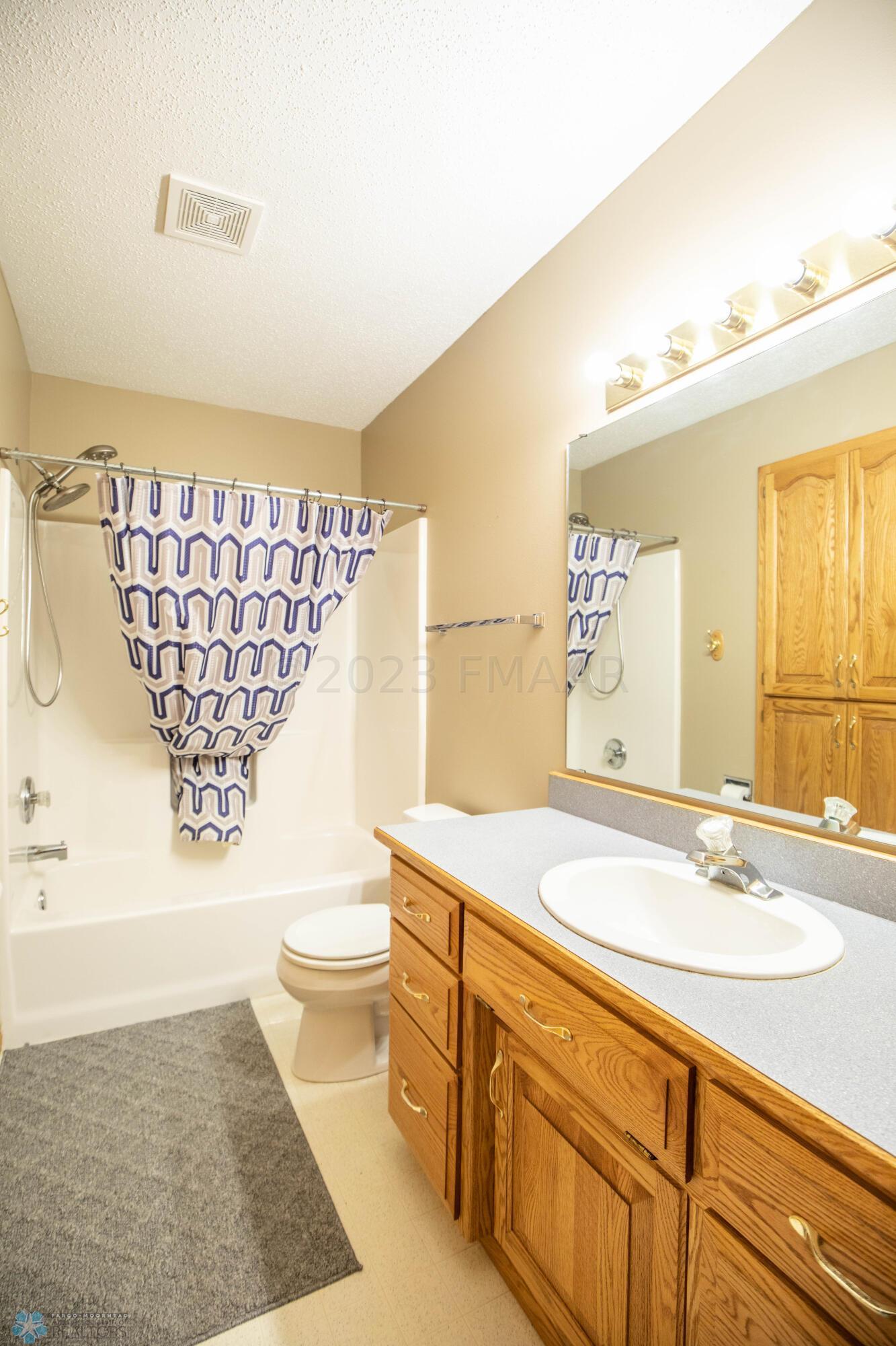 Lower Level Guest Bathroom