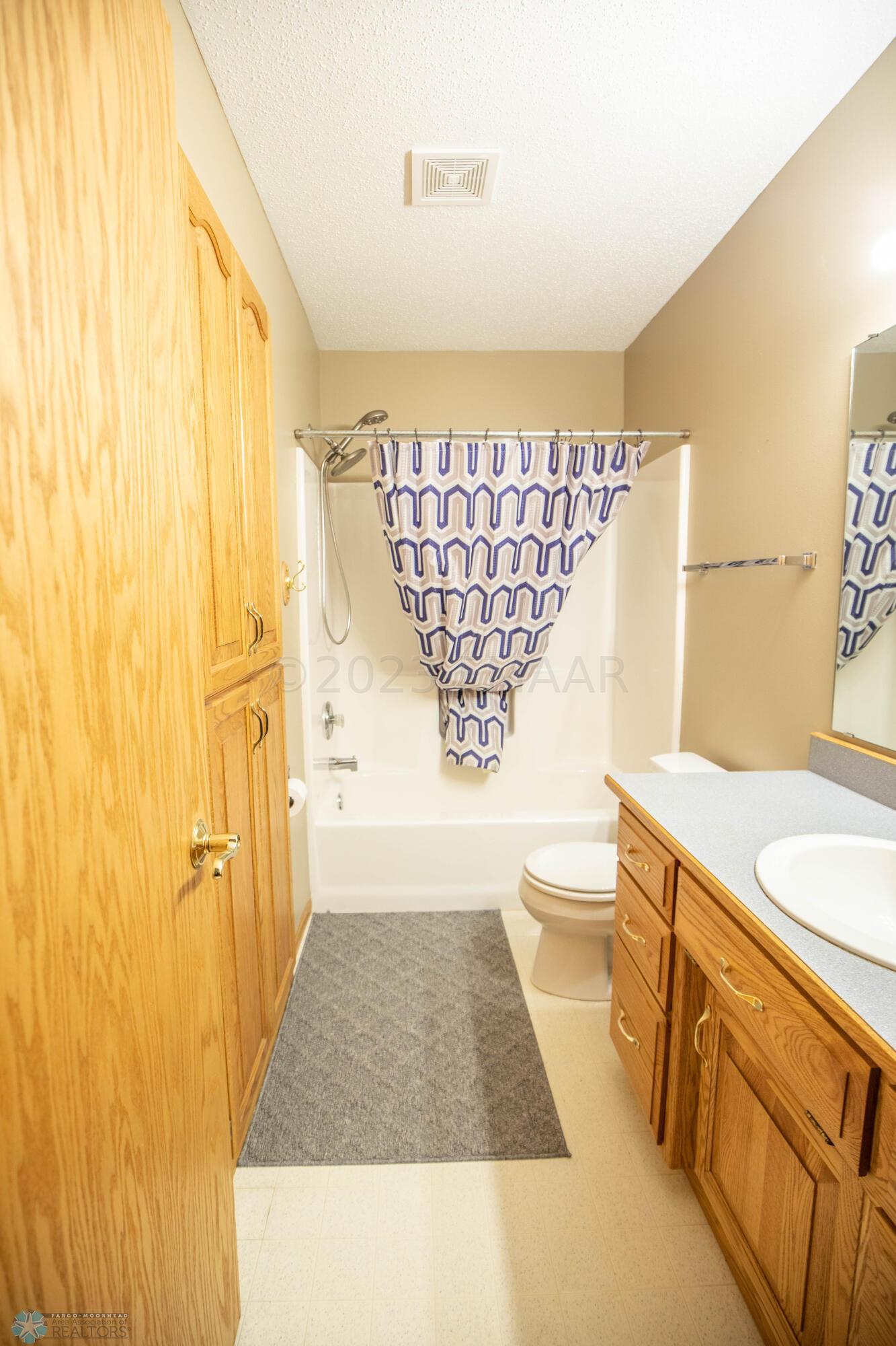 Lower Level Guest Bathroom
