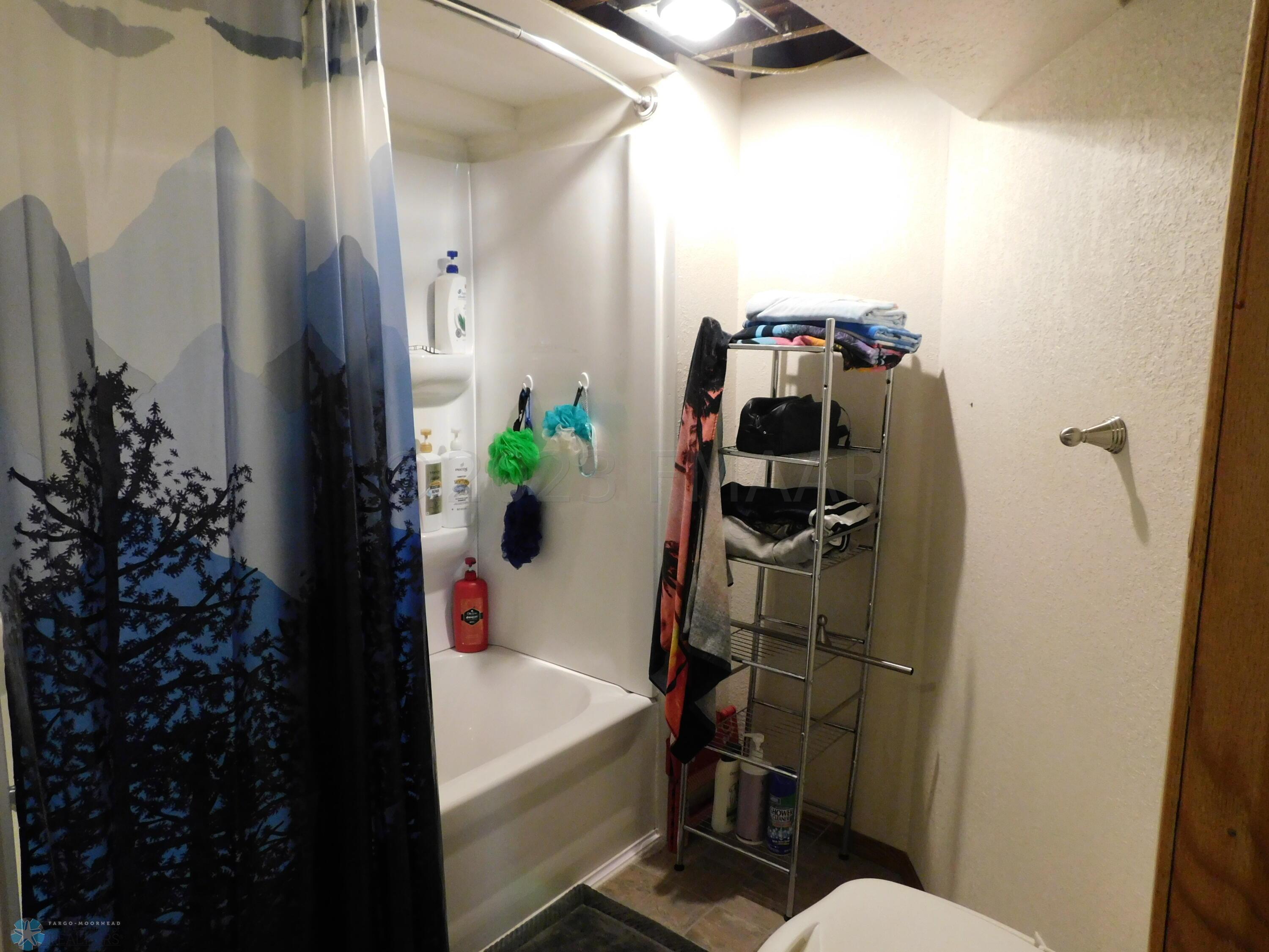 basement bathroom