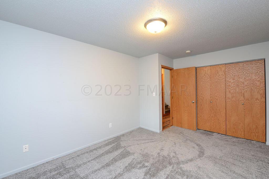 New Carpet