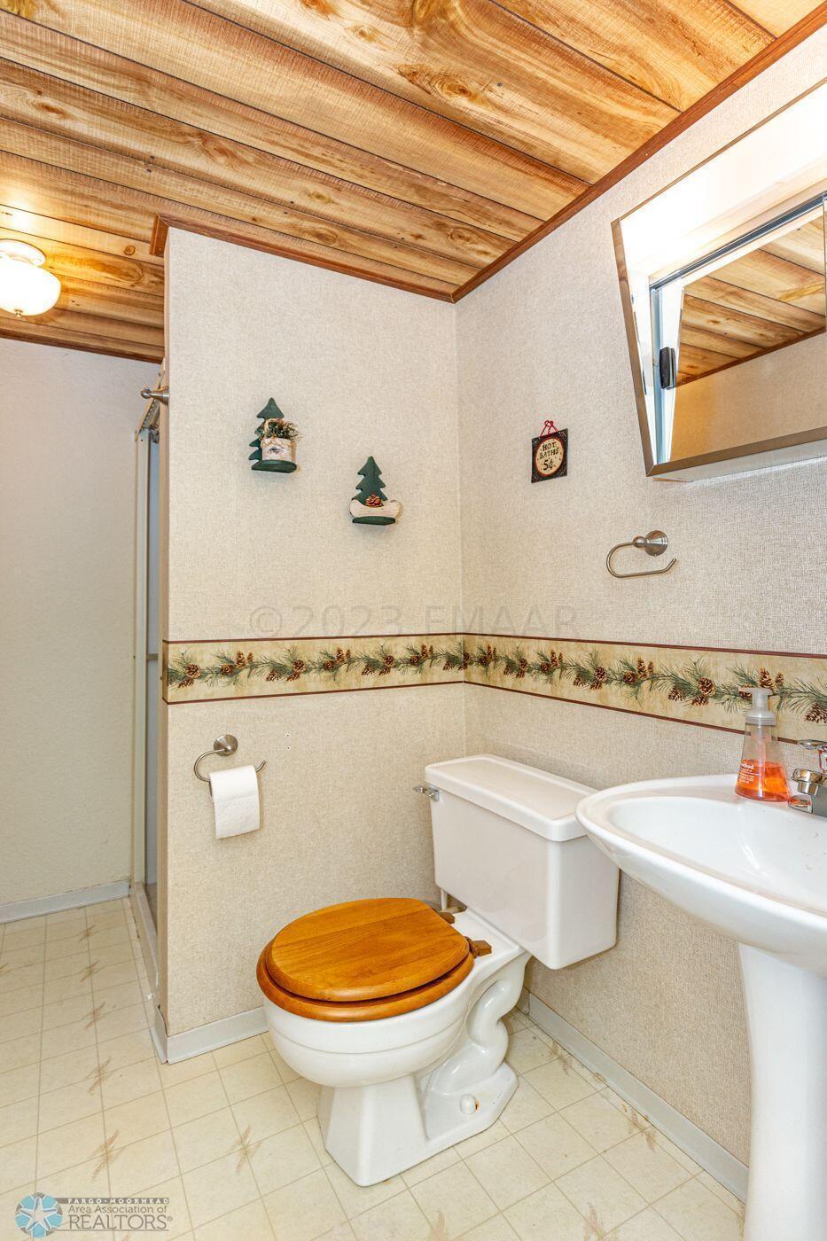 Lower Level Bath