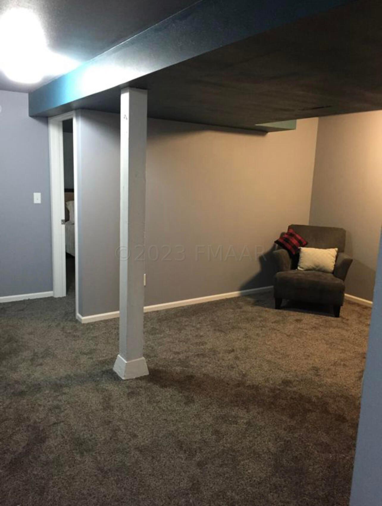 Basement Living room