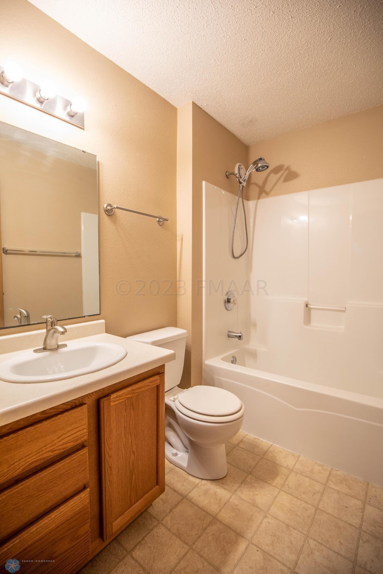 Lower Level Bathroom