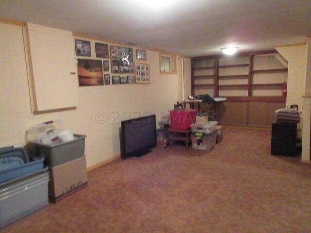 Basement Family Room