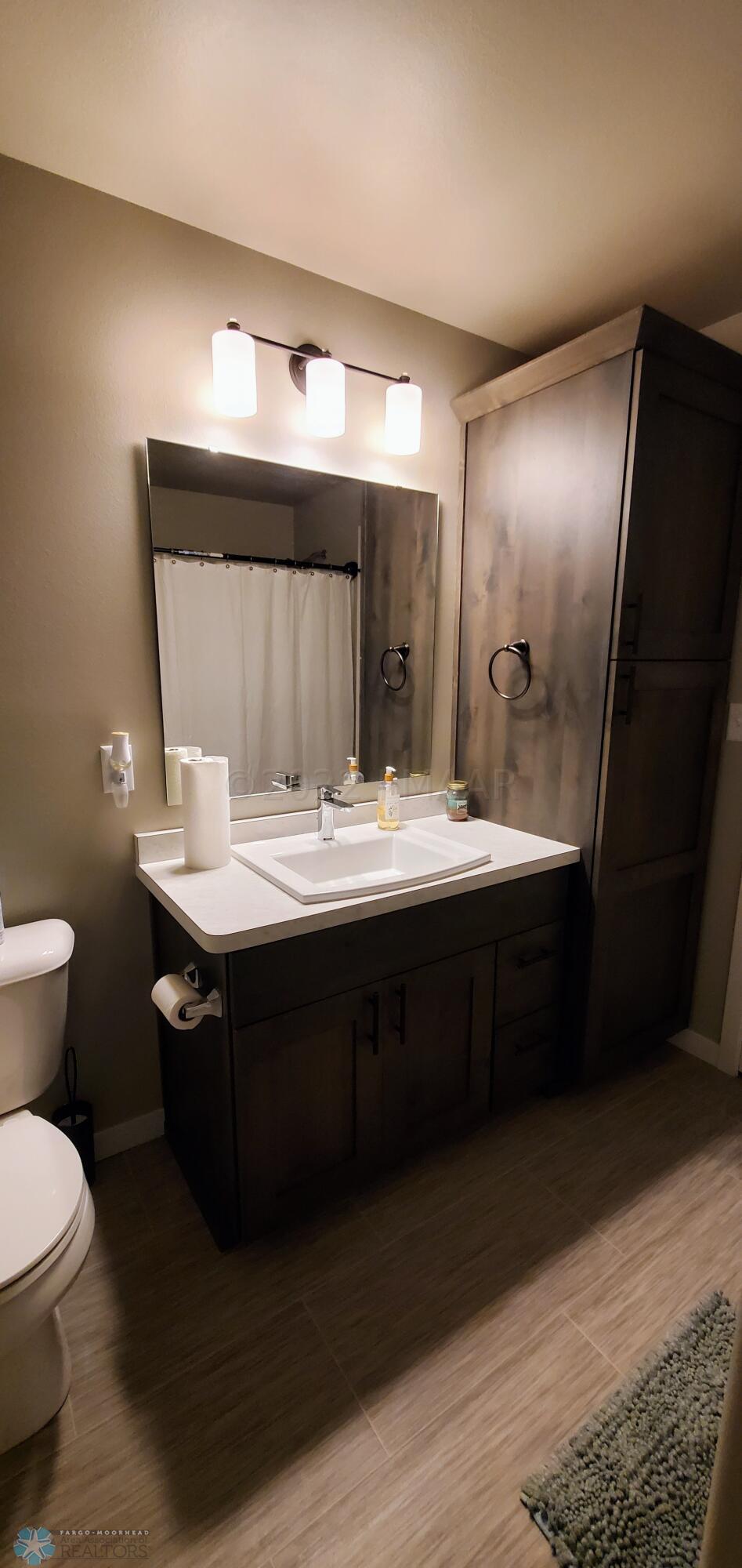 Lower Level Bathroom