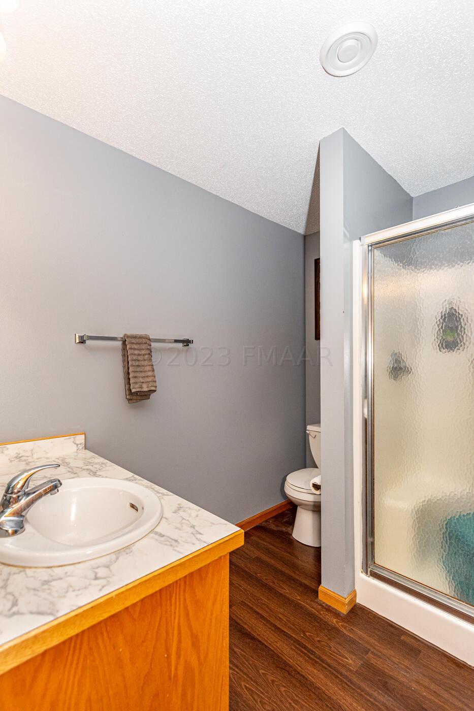 Lower Level Bath