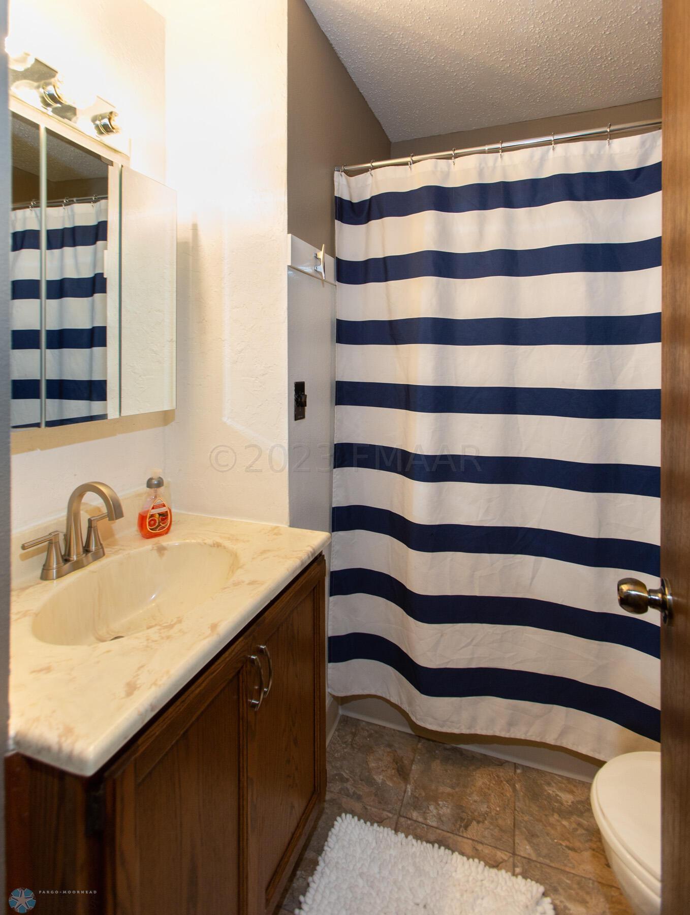 Lower Level Bathroom