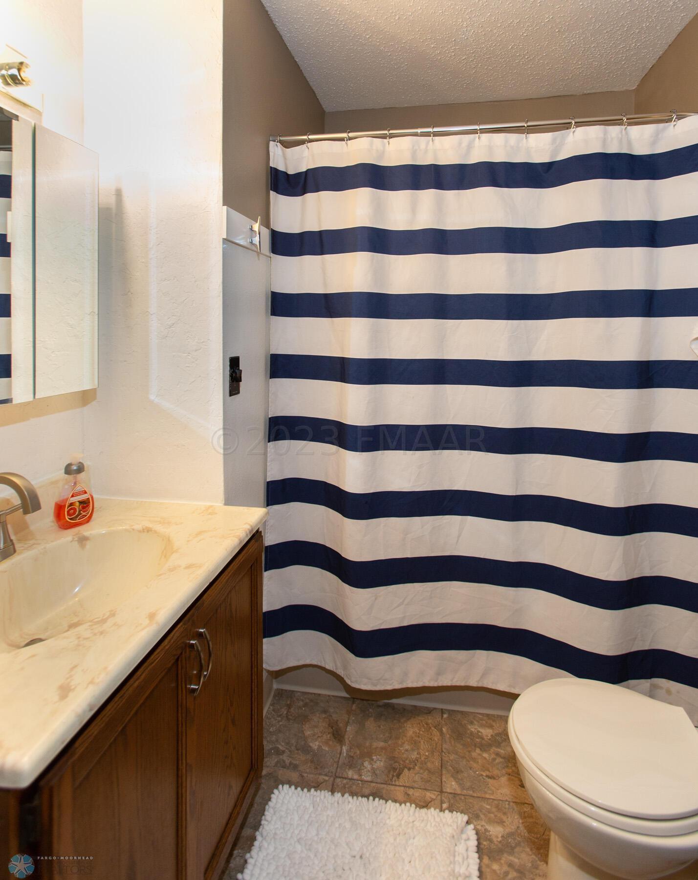 Lower Level Bathroom