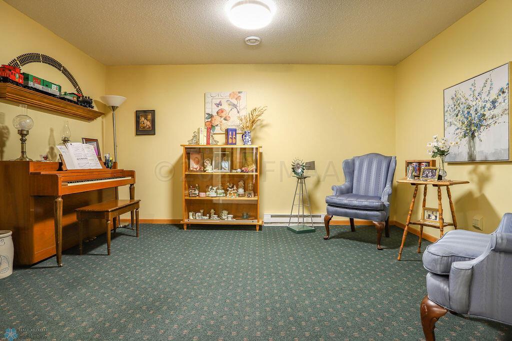 Sitting Area in Basement