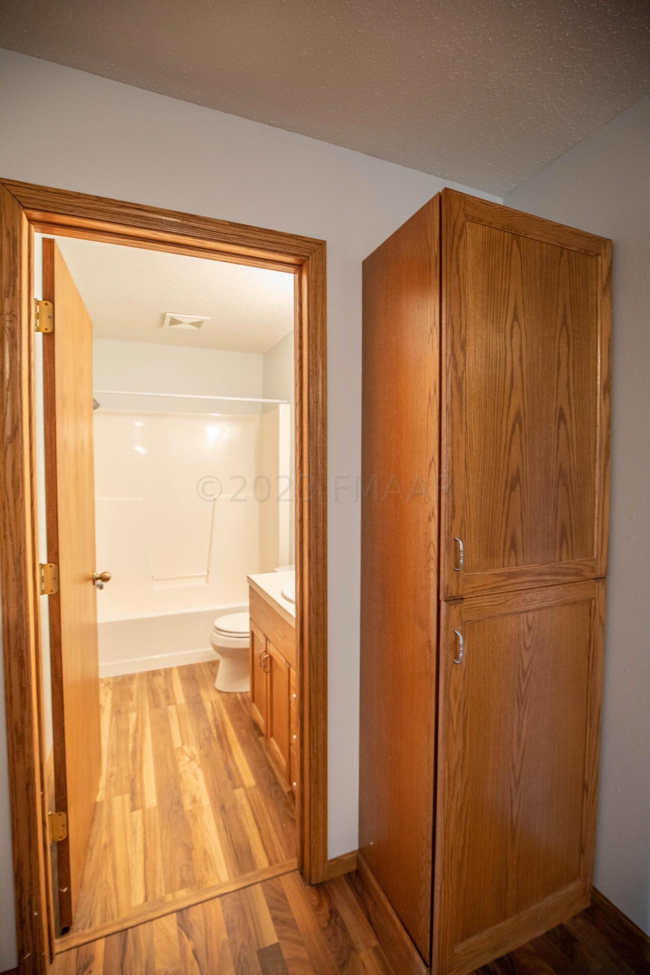 Lower Level Guest Bathroom + Storage