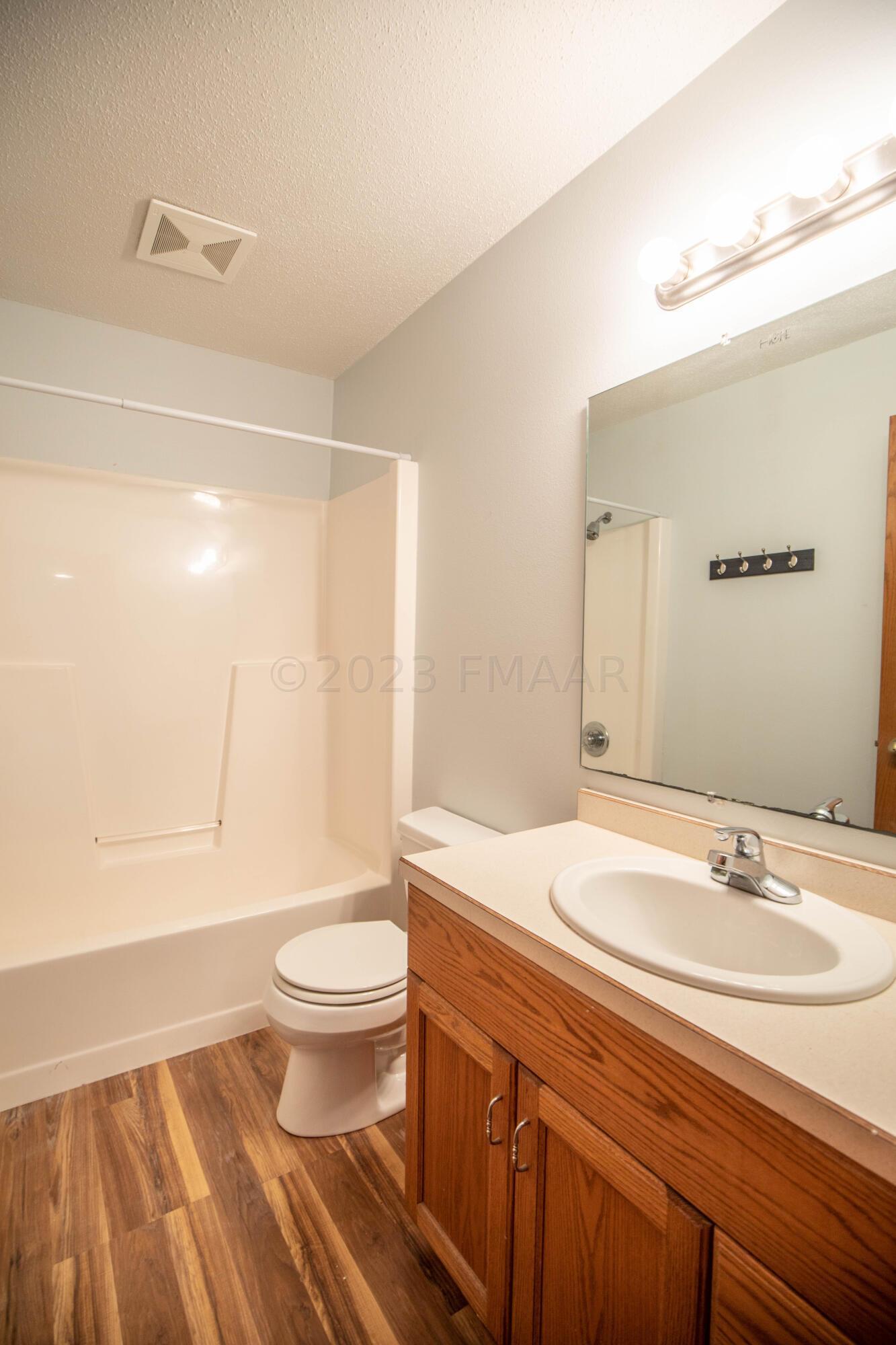 Lower Level Guest Bathroom
