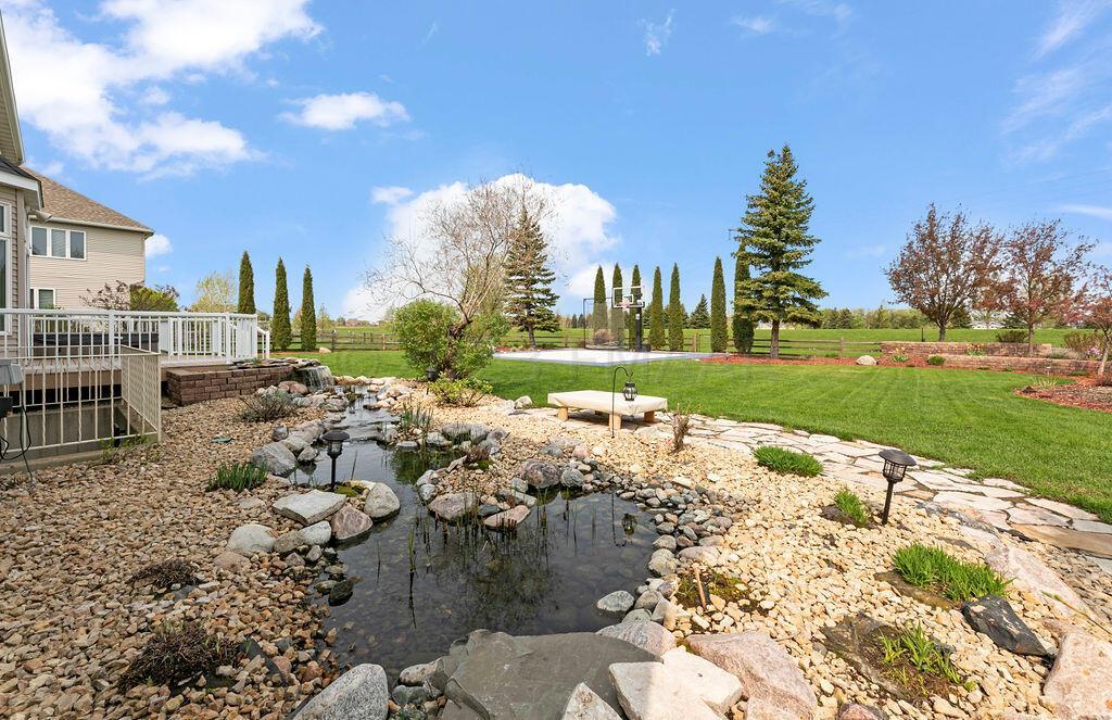 Backyard Oasis