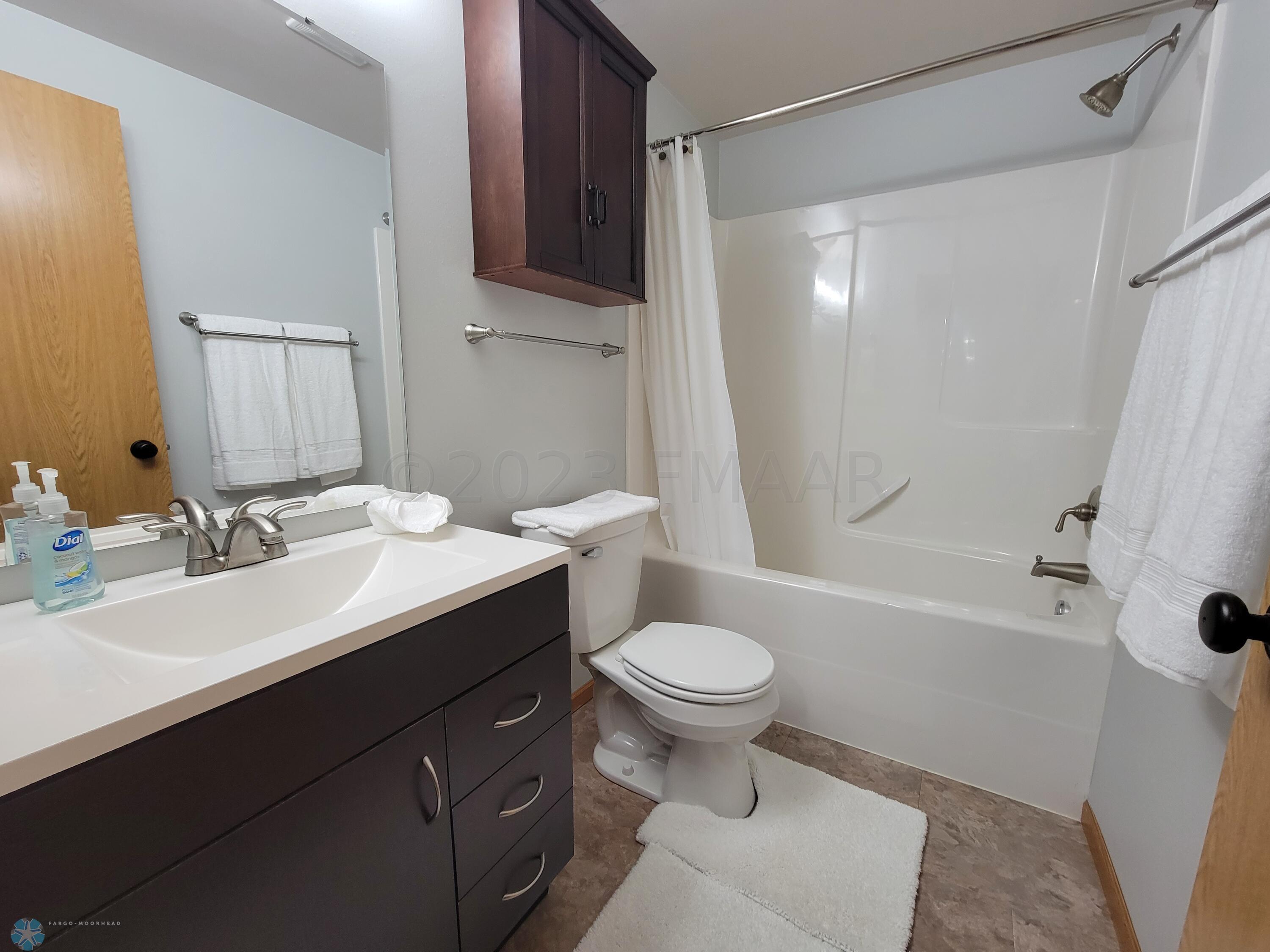 Lower level Bathroom