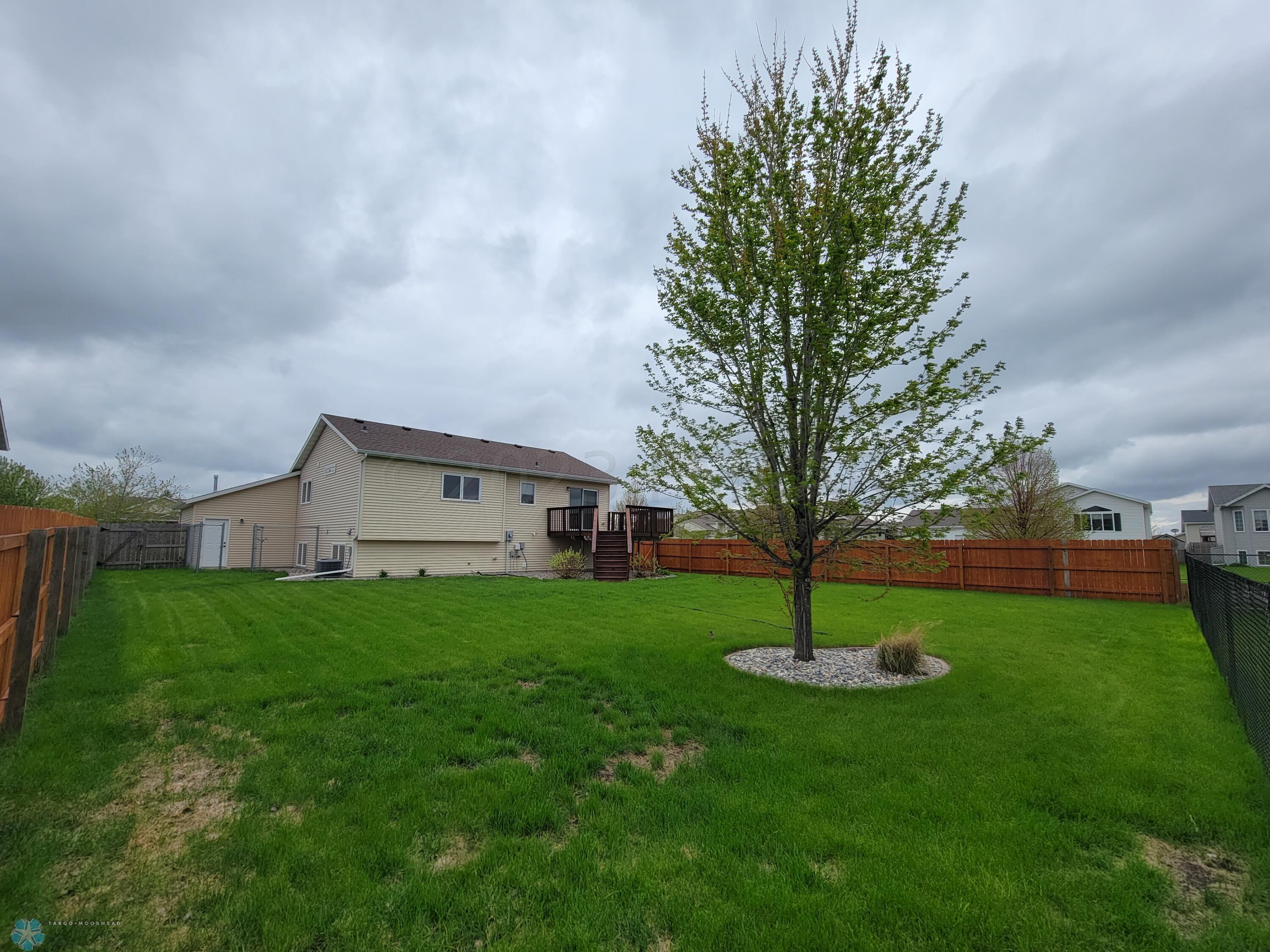 Back yard