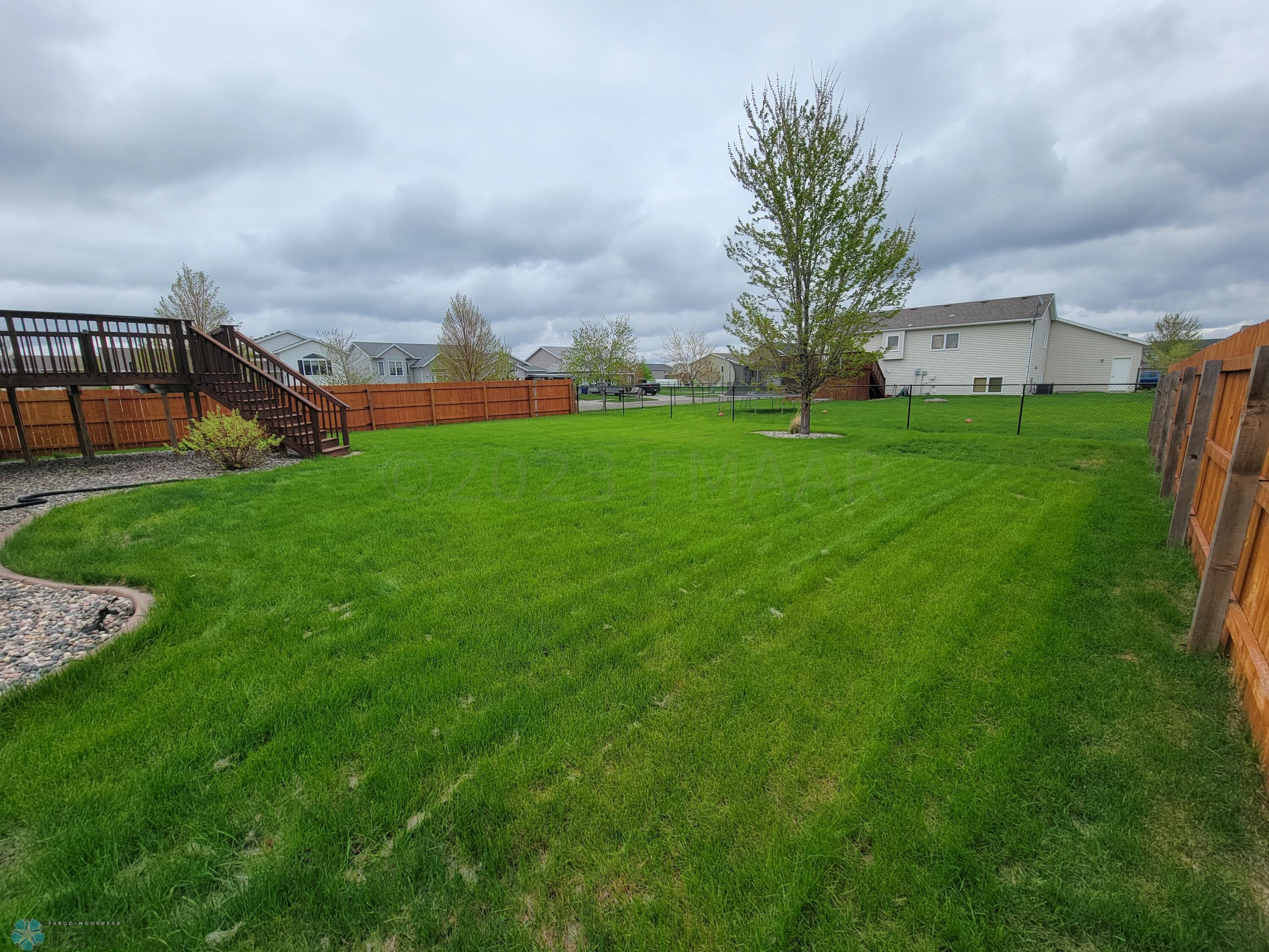 Back yard