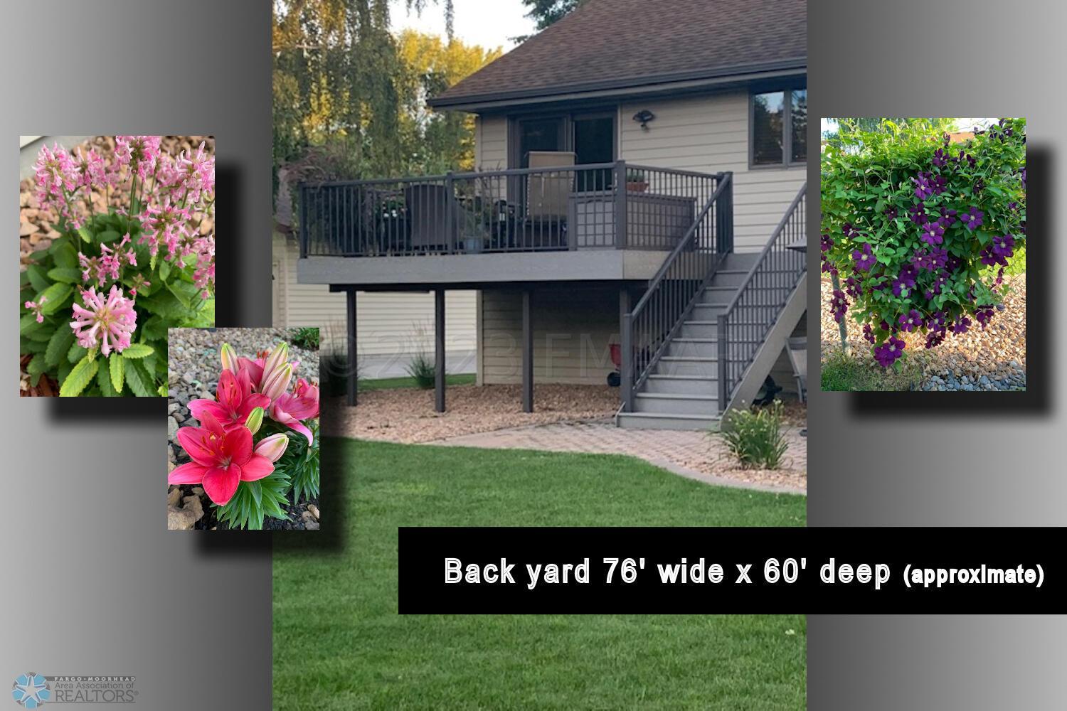 Big Back Yard