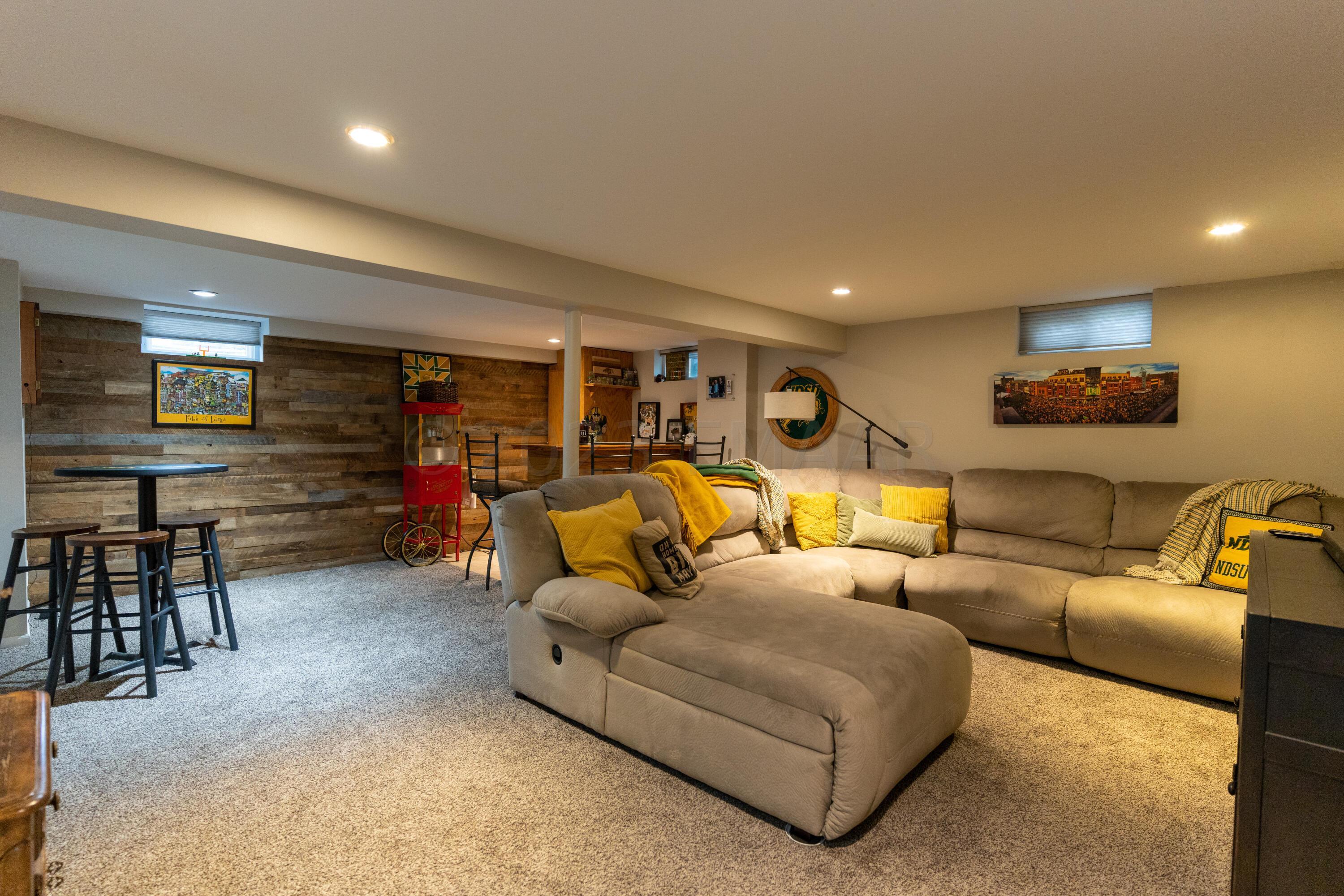 Basement Living Room