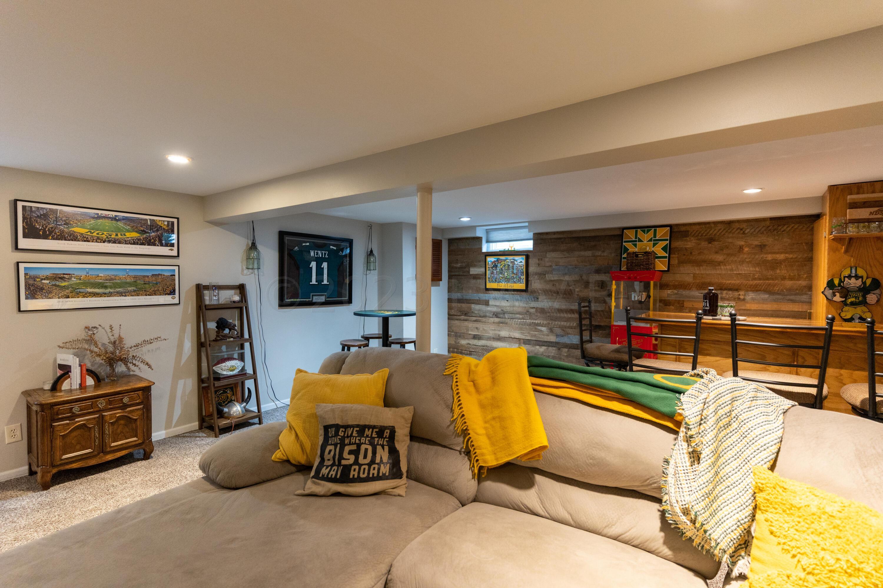 Basement Living Room