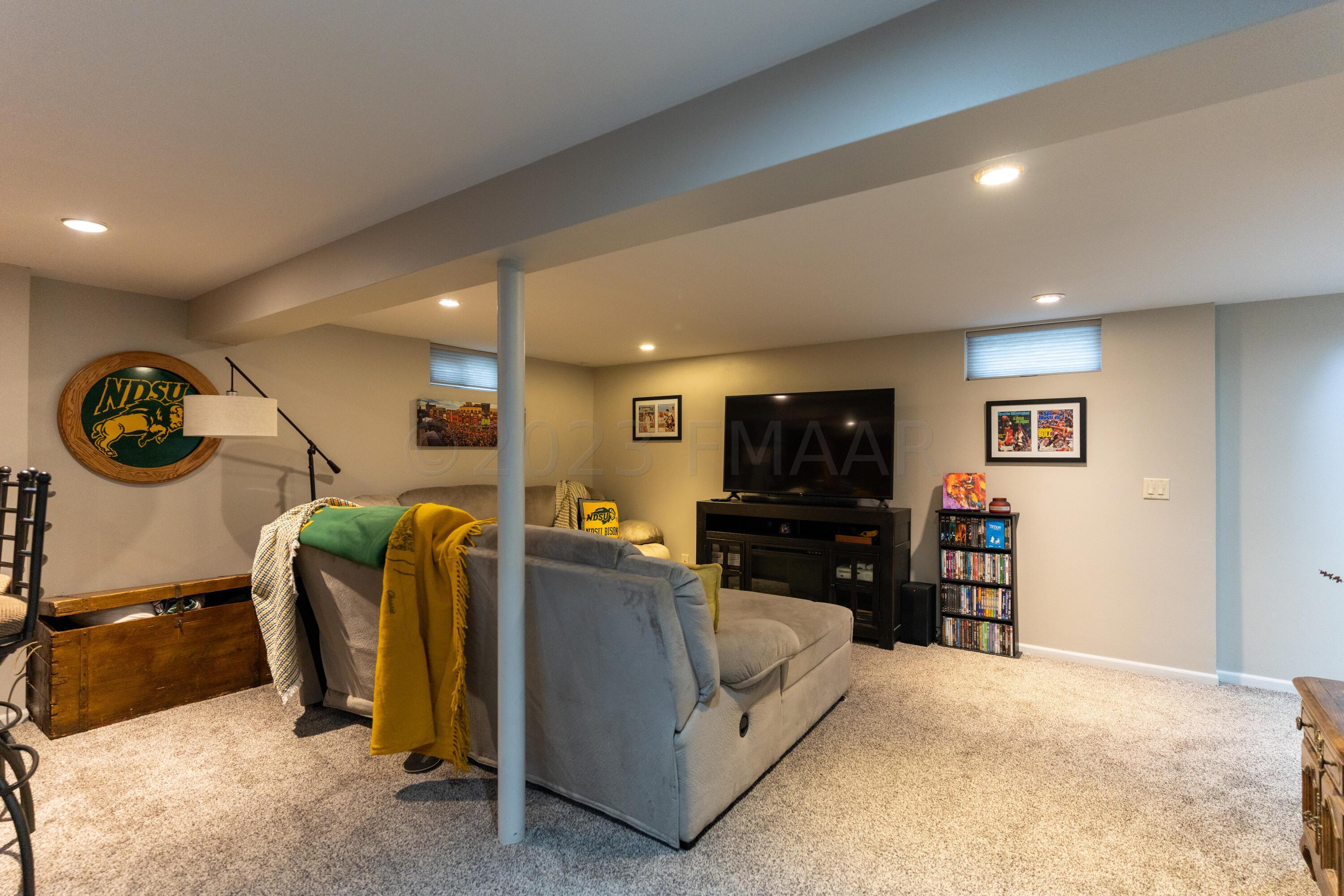 Basement Living Room