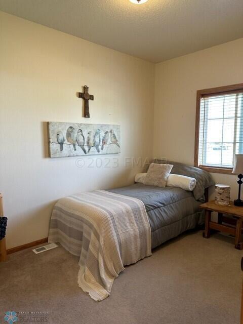 Main Flr 2nd bedroom