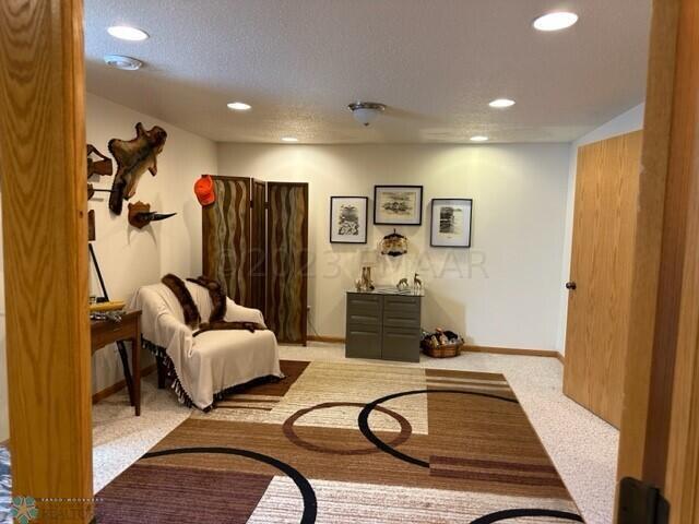 LL 2nd bedroom