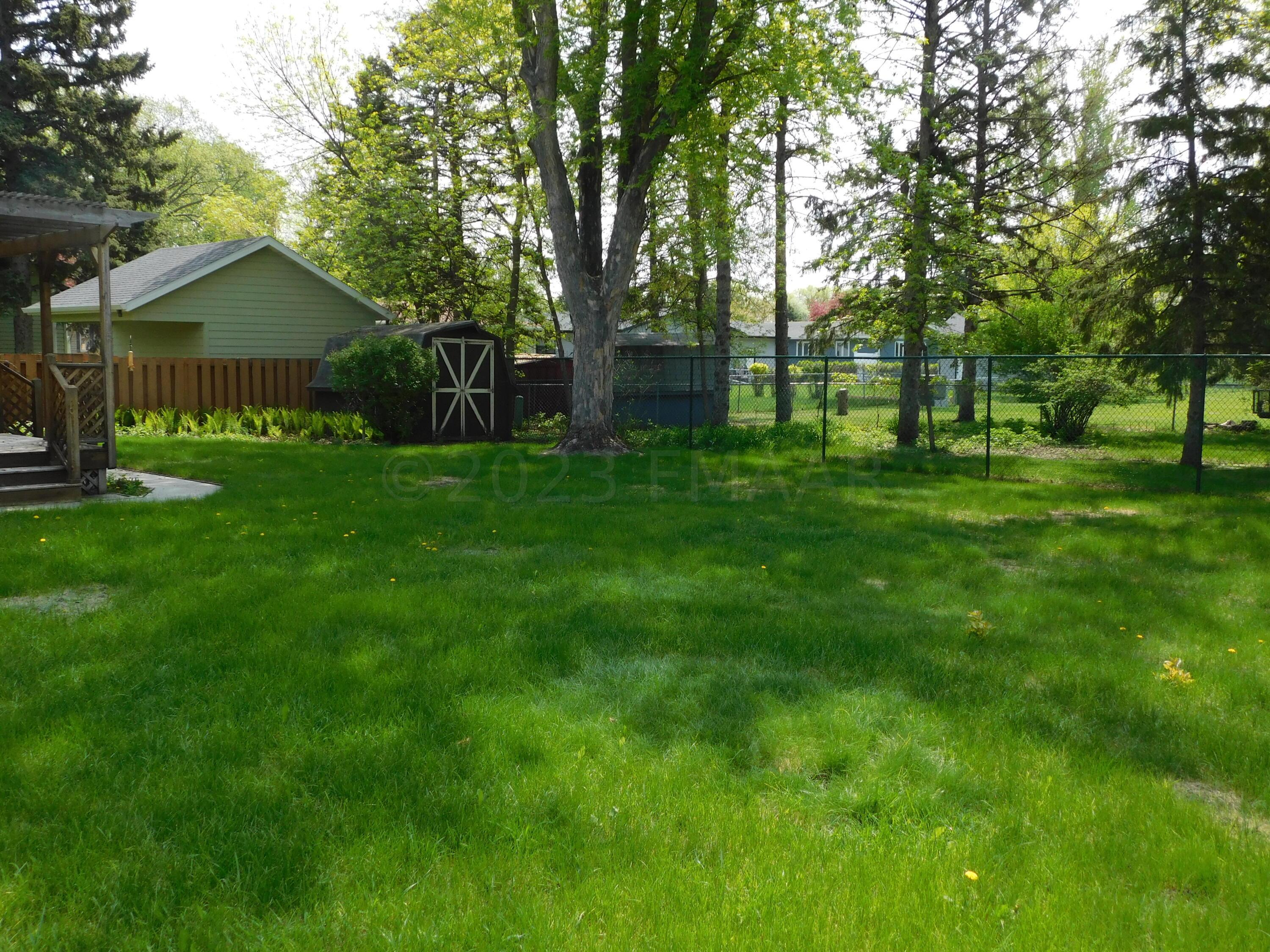 back yard