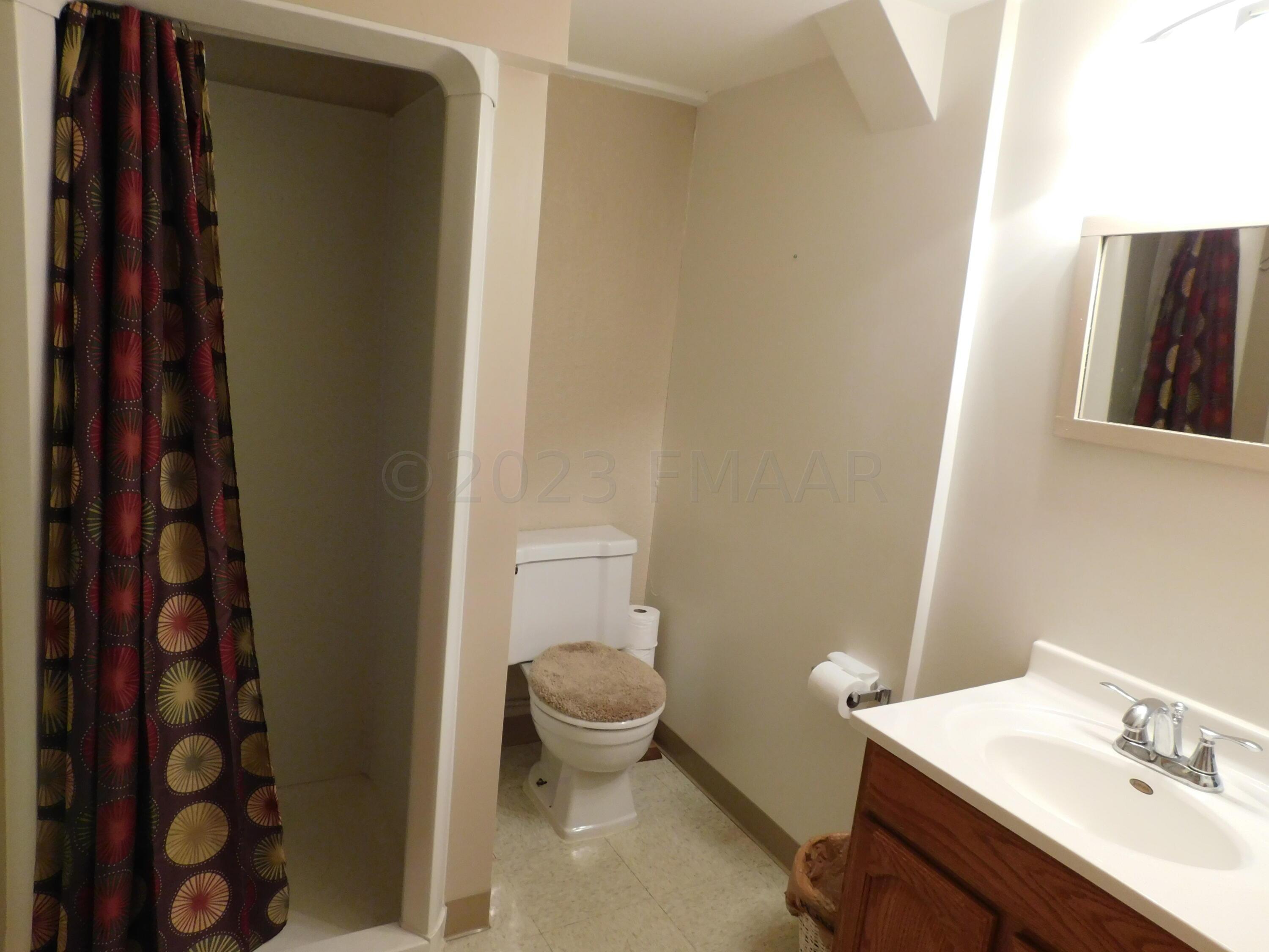 basement bathroom