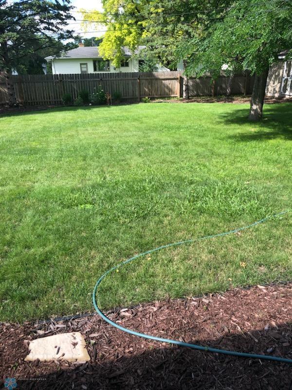 Yard last summer