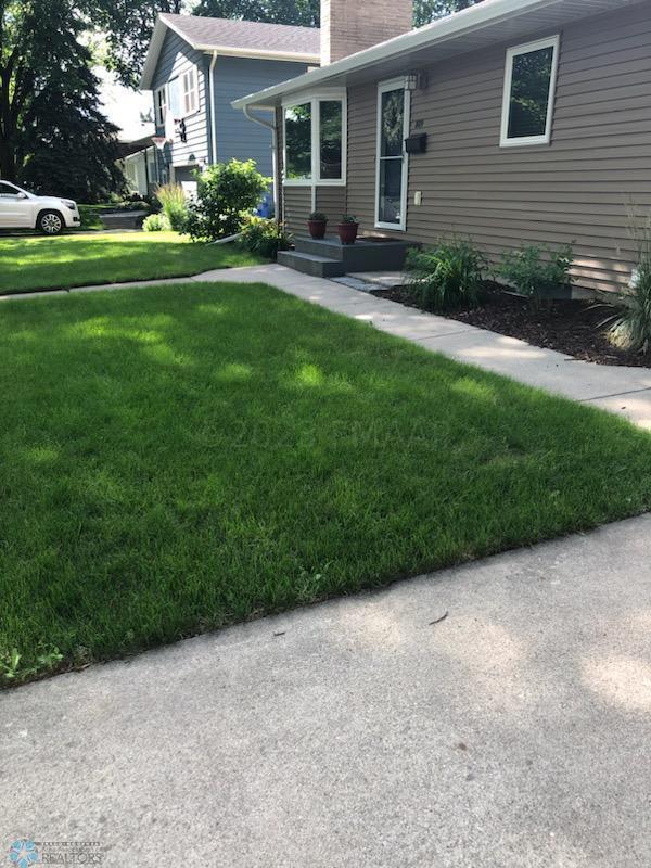 Yard last summer