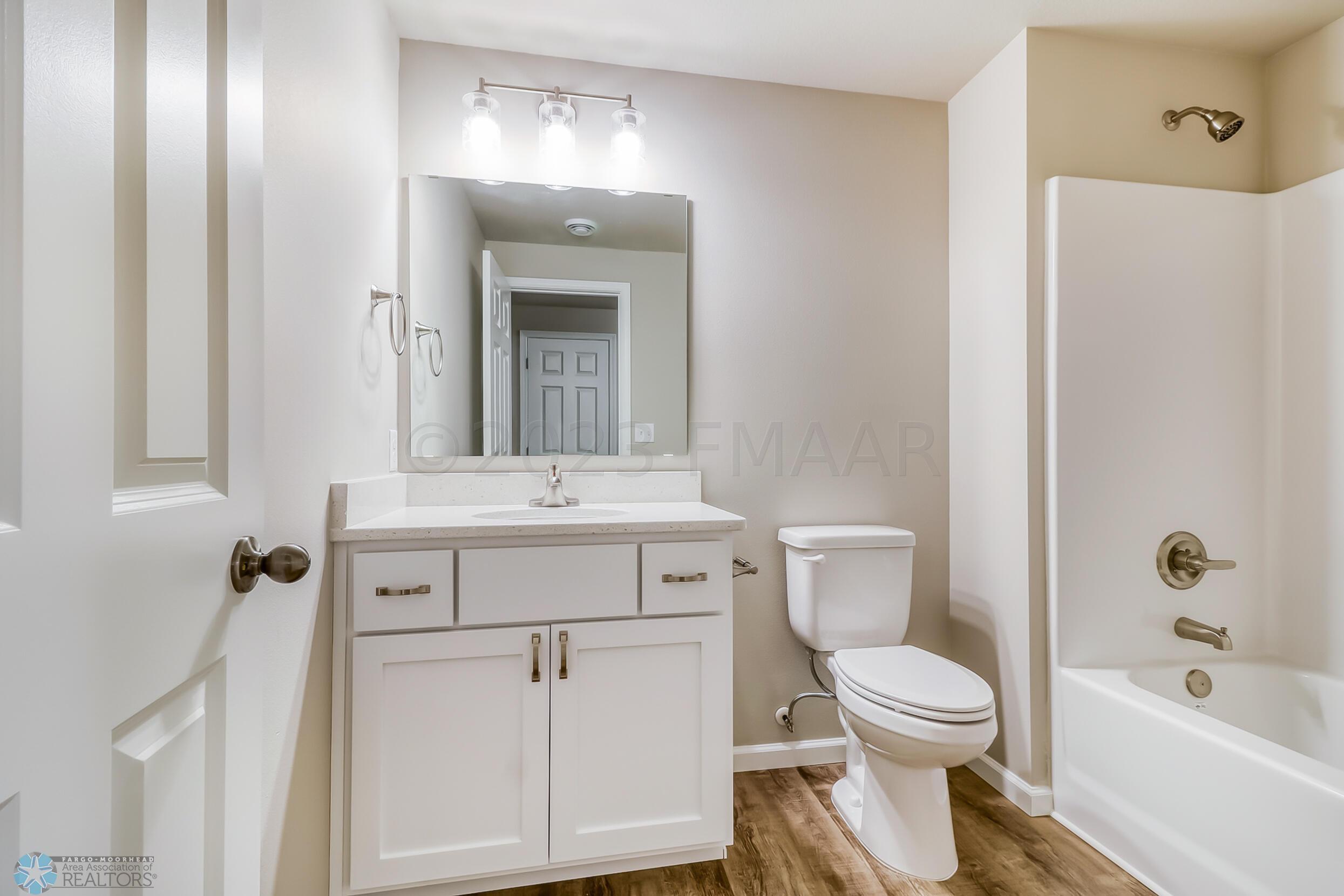 Basement Bathroom