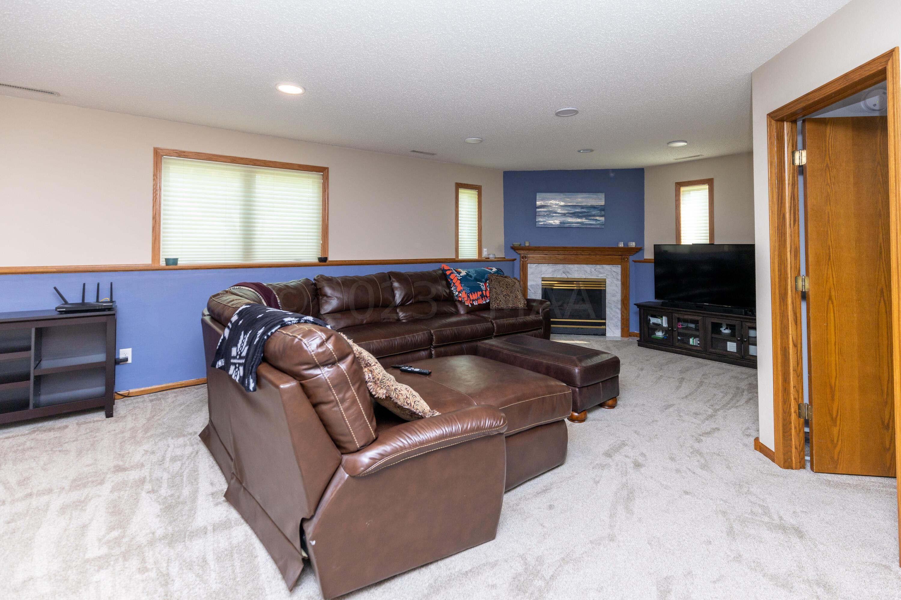 Lower Level Family Room